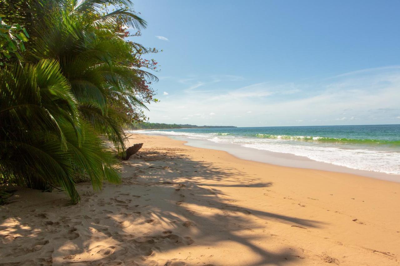 La Coralina Island House Otel Bocas Town Dış mekan fotoğraf