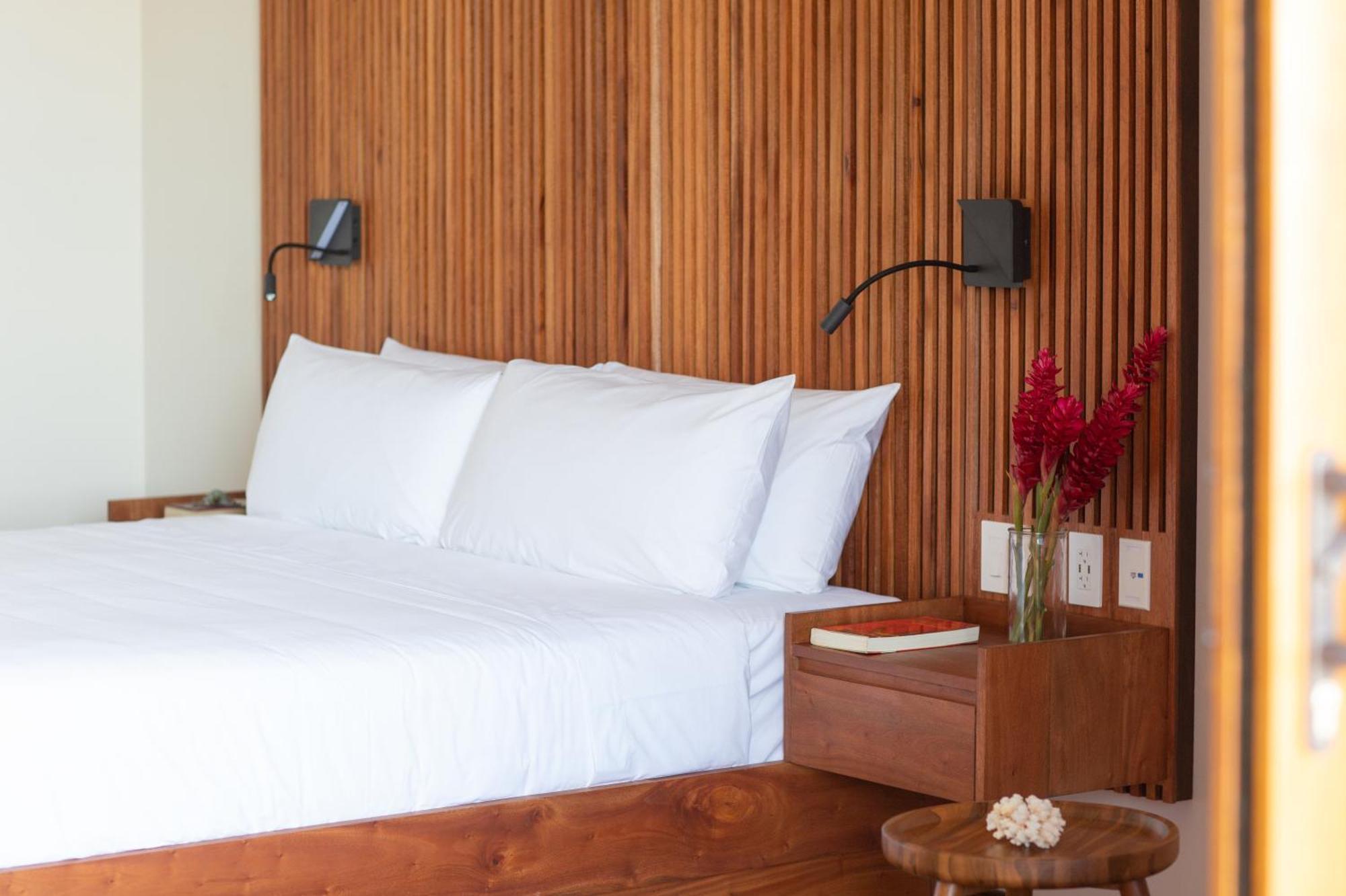 La Coralina Island House Otel Bocas Town Dış mekan fotoğraf
