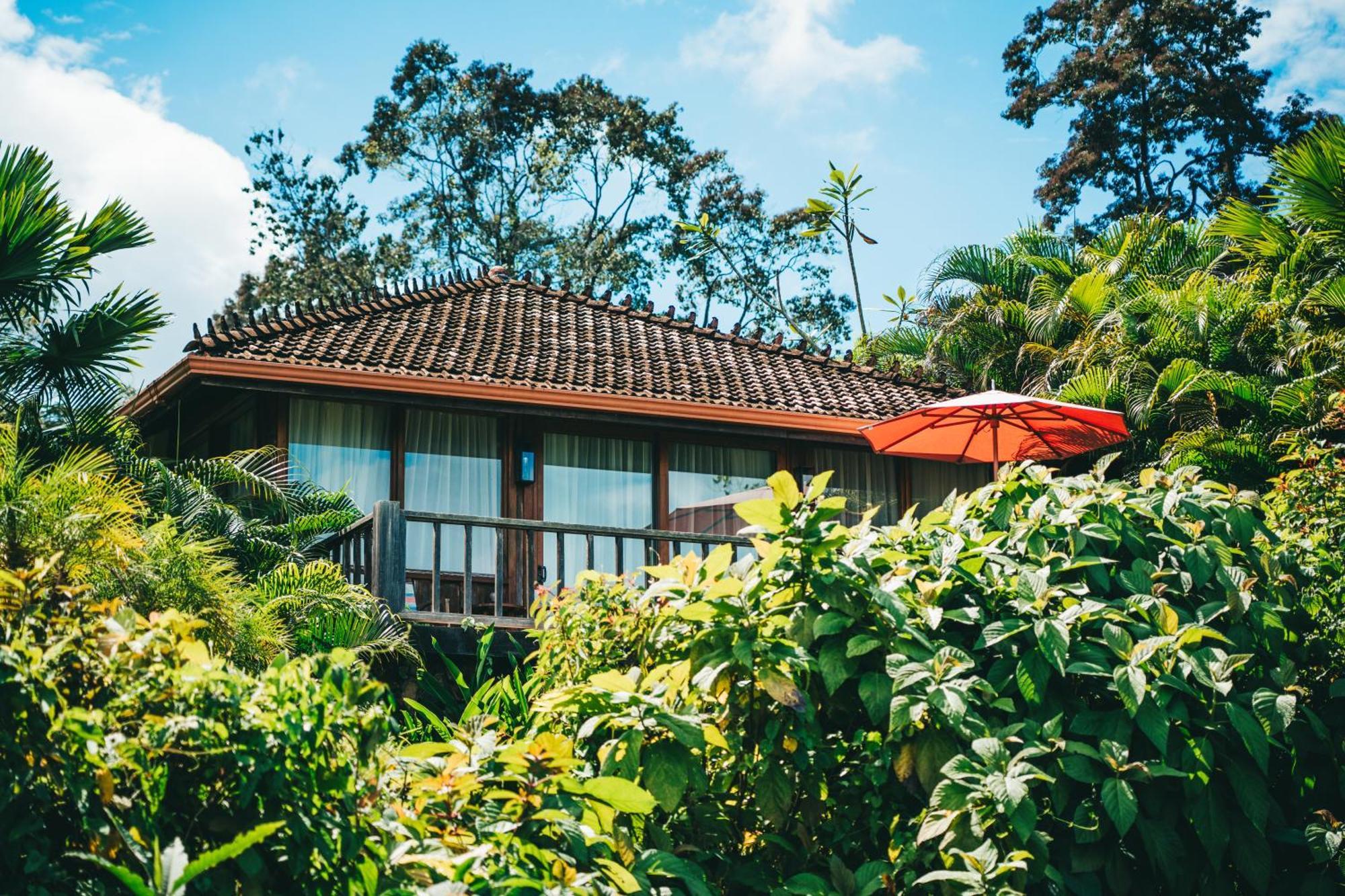 La Coralina Island House Otel Bocas Town Dış mekan fotoğraf